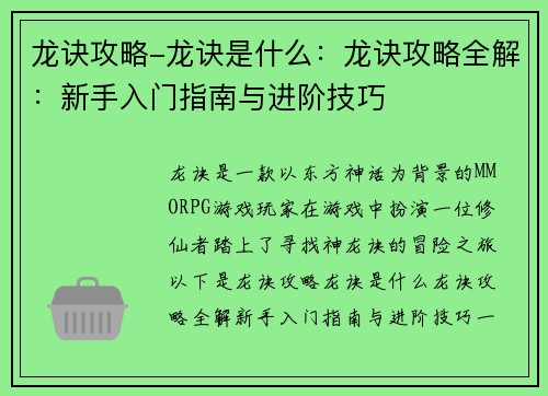 龙诀攻略-龙诀是什么:龙诀攻略全解:新手入门指南与进阶技巧